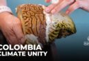 Caribbean nations unite in Colombia to tackle climate, promote regional integration