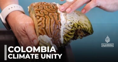 Caribbean nations unite in Colombia to tackle climate, promote regional integration