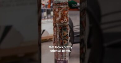 Carpet shopping with the Human Carpet