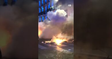 Cars torched by PSG fans in Paris | DW News