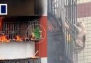 Cat in China holds onto window railings to escape fire