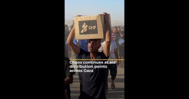 Chaos continues at aid distribution points across Gaza | AJ #shorts