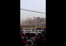 Chaos erupts as Palestinians rush to aid site after months of blockade | AJ #shorts