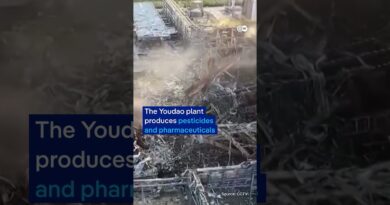 China: Deadly explosion at chemical plant