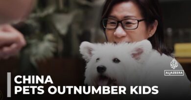 China’s booming pet industry: Pets are set to outnumber toddlers in just five years