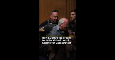 Co-founder of Ben & Jerry’s ice cream kicked out of Senate for Gaza protest | AJ #shorts