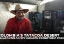 Colombian farmer-turned-fossil hunter builds desert museum against all odds