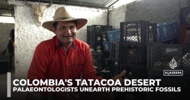 Colombian farmer-turned-fossil hunter builds desert museum against all odds