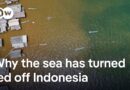 Concern grows over illegal nickel mining in Indonesia | DW News