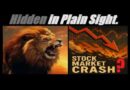 CRASH??? (GOLDMAN SACHS WARNS ON THE STOCK MARKET…) SHOULD WE BE WORRIED? Mannarino