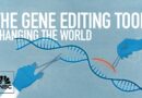 CRISPR-based gene editing revolutionized medicine—what’s next?
