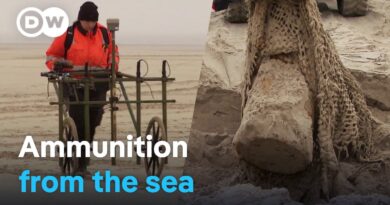 Danger from the North Sea – The search for explosive ordnance from WWII | DW Documentary