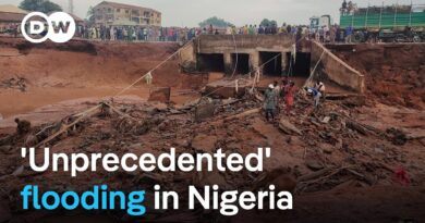 Death toll expected to rise after flash floods rip through Nigerian market town | DW News