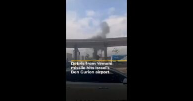 Debris from Yemeni missile hits Israel’s Ben Gurion airport | AJ #shorts