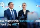 Decision could pave the way for AfD party ban | DW News
