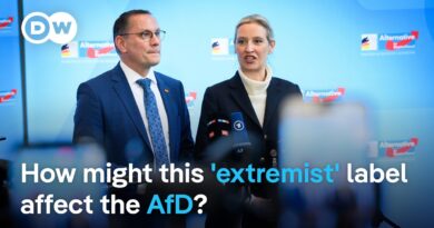 Decision could pave the way for AfD party ban | DW News