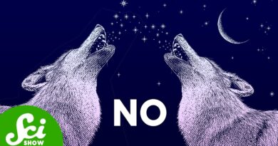 Did We Just De-Extinct Dire Wolves?!