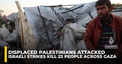Displaced Palestinians attacked: Israeli military strikes kill 23 people across Gaza