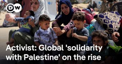 Do Western states’ condemnations of Israel’s offensive in Gaza go beyond rhetoric? | DW News