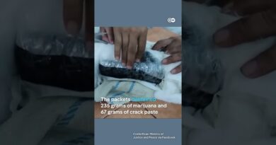 Drug-smuggling cat caught in Costa Rica | DW News