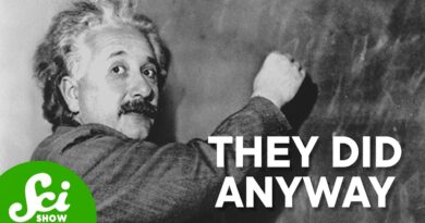 Einstein Didn’t Want People To Study His Brain