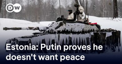 Estonian Defense Minister: We know what the Russian plan is | DW News