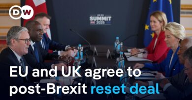 EU and UK strike trade, security deal | DW News