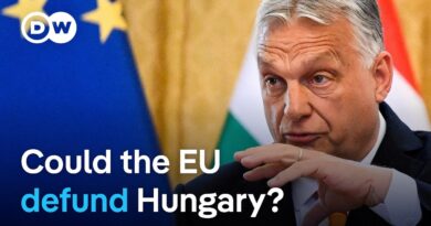 European Union parliamentarians push to cut Hungary off from all EU funds | DW News