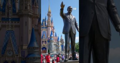 Fact check: Did Disney suspend all its Venezuelan workers? | Fact Check