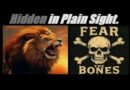 FEAR THE BONES! THE SYSTEM IS CANNIBALIZING ITSELF. (EXPECT MASSIVE BAILOUTS). Mannarino