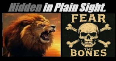 FEAR THE BONES! THE SYSTEM IS CANNIBALIZING ITSELF. (EXPECT MASSIVE BAILOUTS). Mannarino