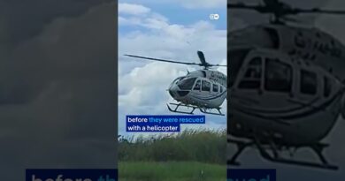 Five found after plane lands in alligator-infested swamp in Bolivian Amazon | DW News