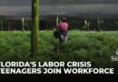 Florida’s labour shortage: Migrant workers are considering leaving the US