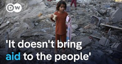Gaza aid distribution system contradicts humanitarian principles | DW News