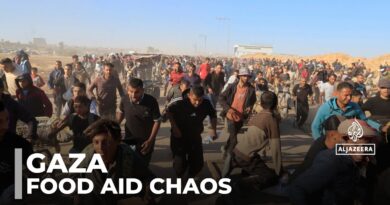 Gaza food desperation: Chaos and violence in food distribution centres