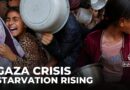Gaza hunger: UN says one in five Palestinians facing starvation