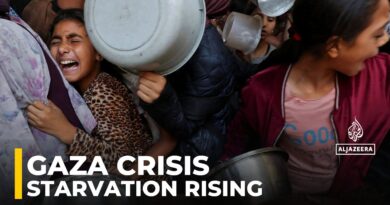 Gaza hunger: UN says one in five Palestinians facing starvation