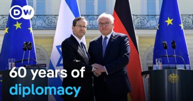 German president calls on Israel to end blockade of aid into Gaza | DW News