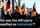 Germany’s domestic intelligence agency finds strong evidence for AfD’s threat to democracy | DW News
