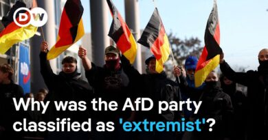 Germany’s domestic intelligence agency finds strong evidence for AfD’s threat to democracy | DW News