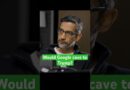Google CEO Sundar Pichai says nobody at Google can influence the search ranking algorithm.