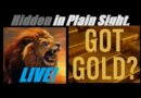 GOT GOLD? (NOW IS THE TIME TO LOAD UP!) TRUMP SAYS: LETS “MAKE SAUDI ARABIA GREAT AGAIN!” Mannarino