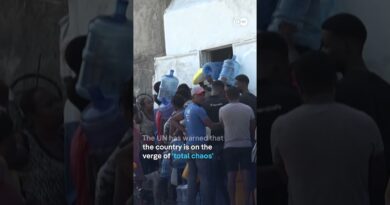 Haiti: Dozens of people escaping gang violence swim across country’s longest river | DW News