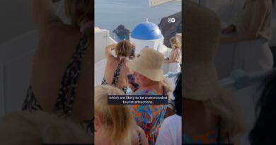 How AI can enhance your travels | DW News