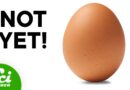 How Do Eggs Know When to Hatch?