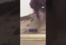 How long can weapons of war haunt us? | DW Documentary