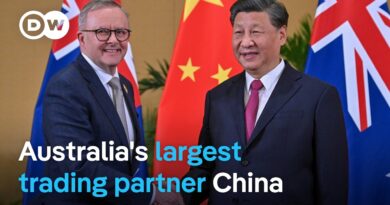How much of a role did China play in Australia’s election? | DW News