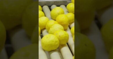 If #Japan has so much #yuzu, why can’t it meet US demand? #fruit