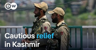 India-Pakistan ceasefire holds: What are the next steps? | DW News