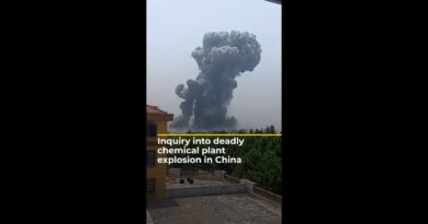 Inquiry into deadly chemical plant explosion in China | AJ#shorts